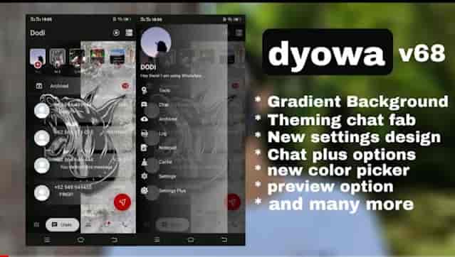 What Is Dyowa WhatsApp